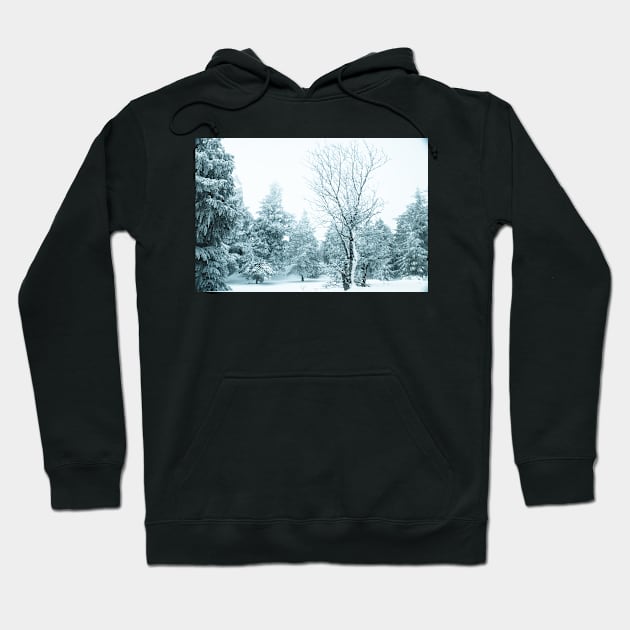 Snow and frost covered pine trees Hoodie by homydesign